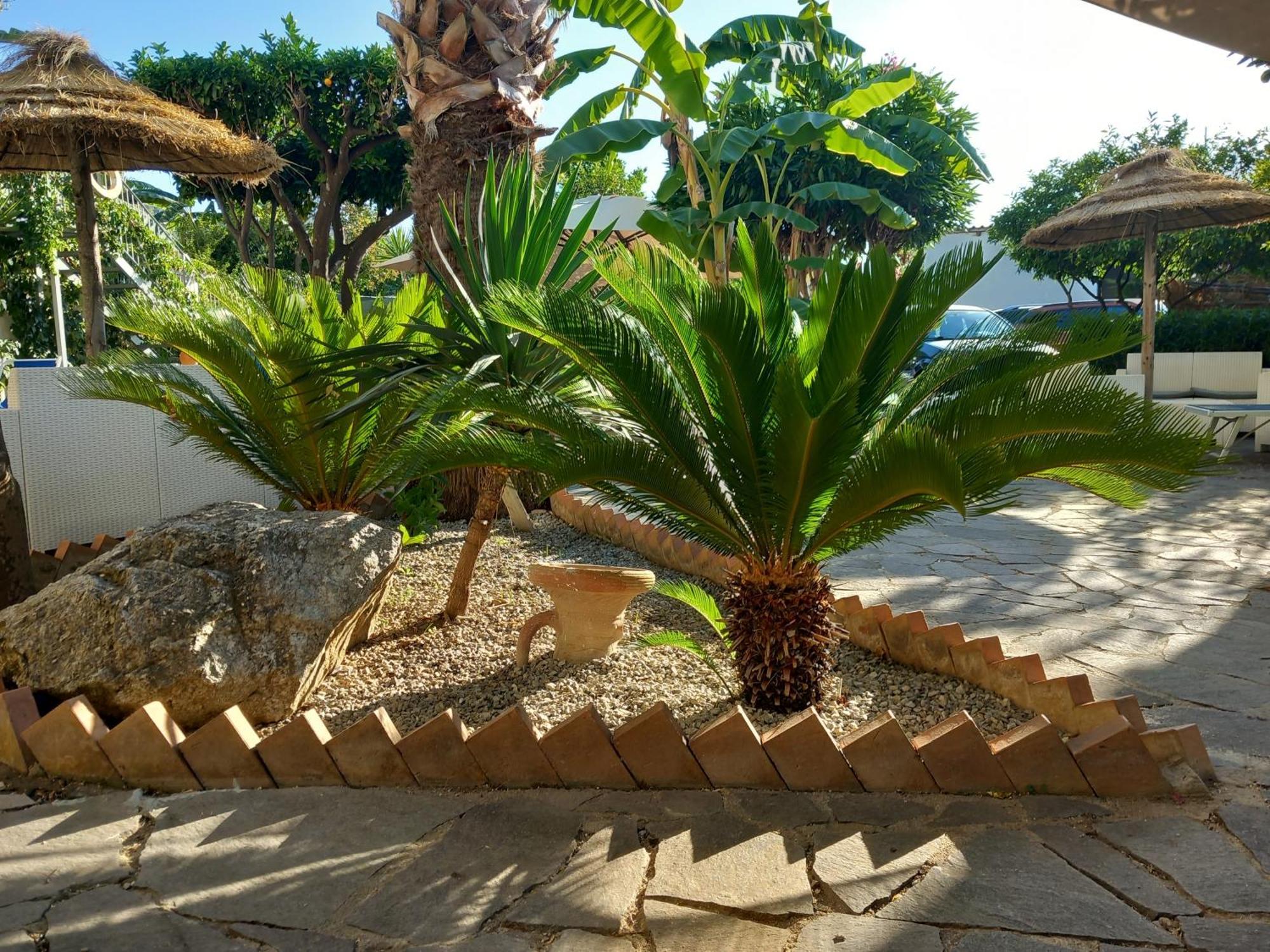Appartamenti Tropea Gargano Parghelia Ngoại thất bức ảnh